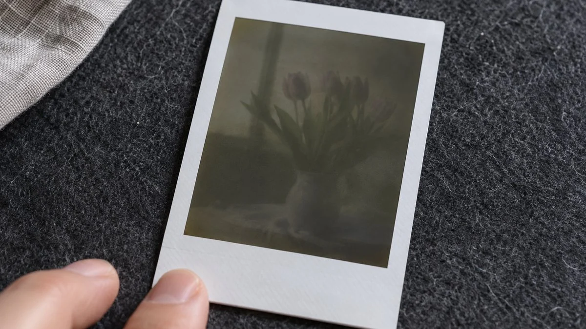 像が浮かび上がり始めた現像途中のインスタントフィルム